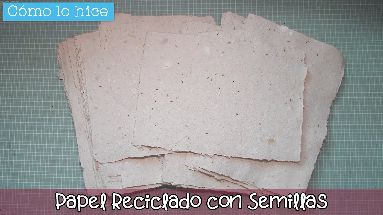 Cómo lo hice: Papel reciclado con SEMILLAS 📜🌱🤩