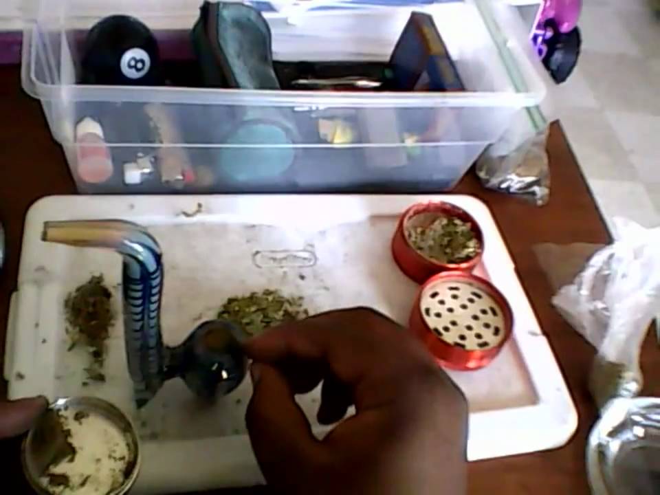 LOOXCIE Cam Recording: Smoking Heavy Duty Fruity & Blue Berry NorthenLights