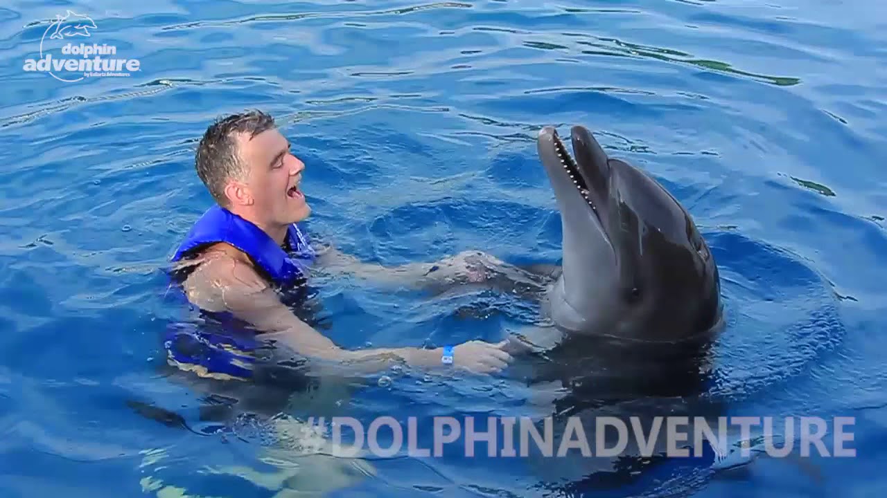 SWIMMING WITH DOLPHINS IN MEXICO  #DOLPHINADVENTURES