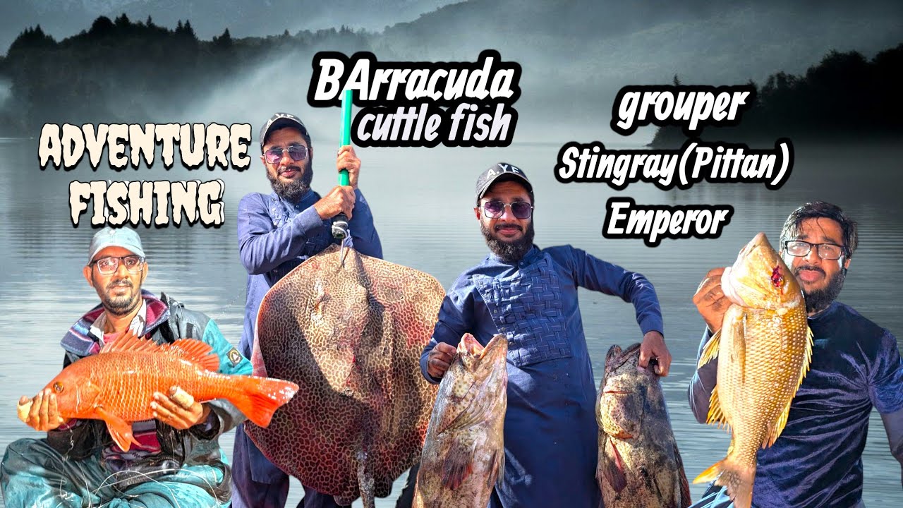 Fishing Point Charna Island Big catch Docomentry Real Fishing Real Fun🎣🐠👍🔔