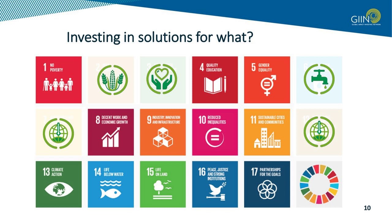 IRIS+ Standards Series: The UN SDGs, IRIS, and the Investor Perspective