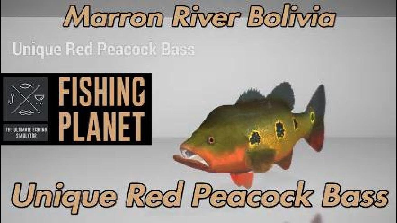 Уникальный красный павлиний окунь &mdash; река Маррон, Боливия &mdash; Fishing Planet