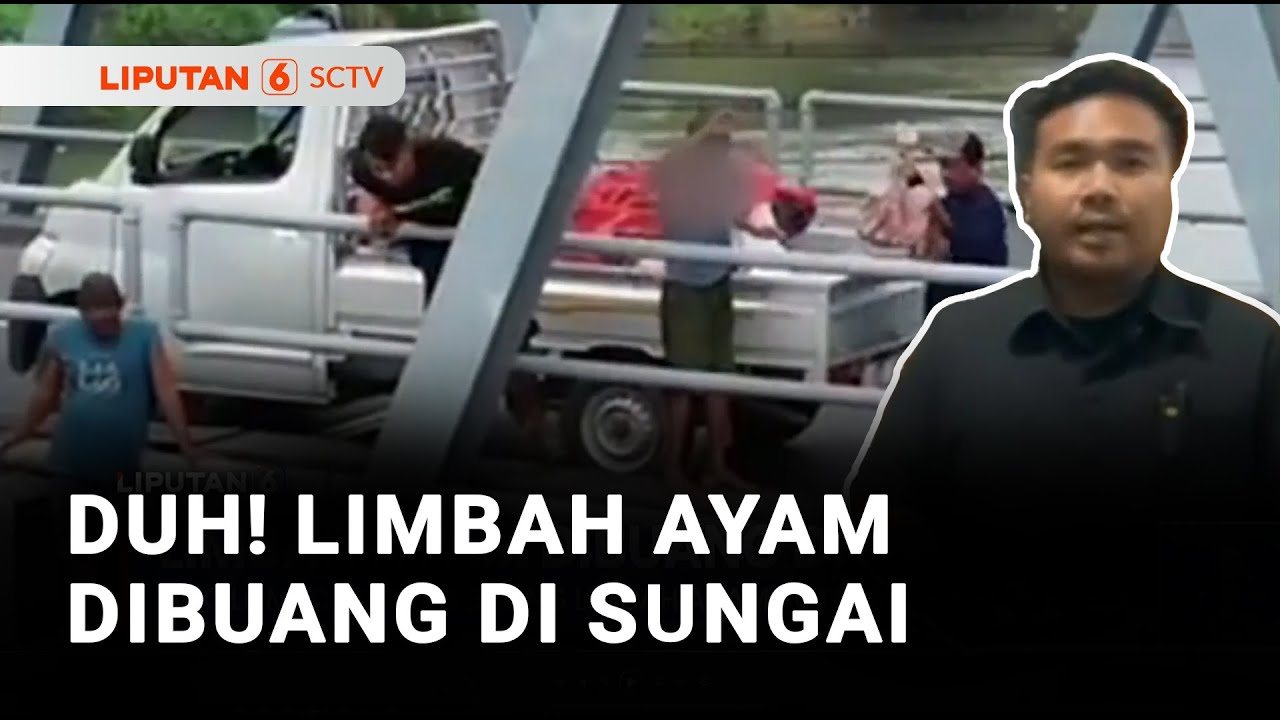 Semobil Bak Sampah Bermuatan Limbah Ayam Dibuang ke Sungai | Liputan 6