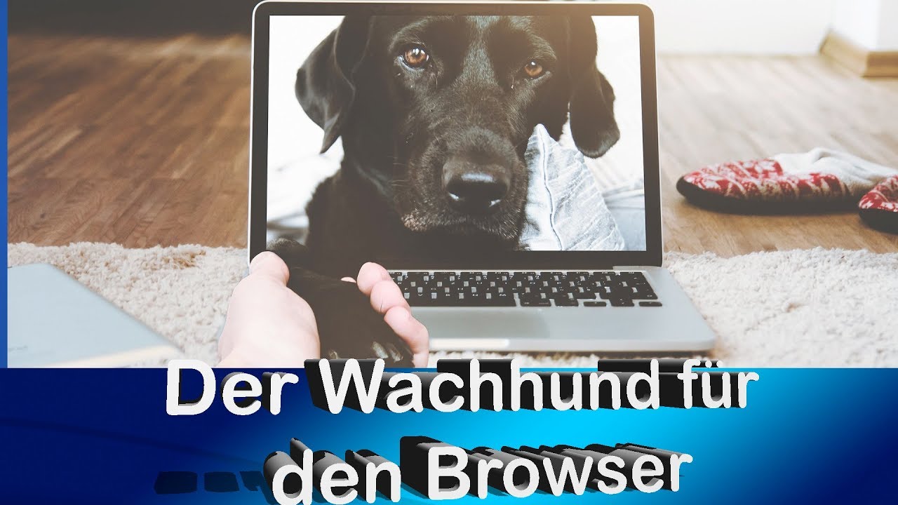 Das wichtigste AddOn - NoScript f&uuml;r den sicheren Browser