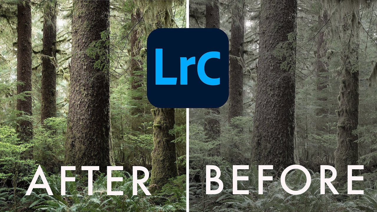 Советы по маскировке и уклонению в LIGHTROOM