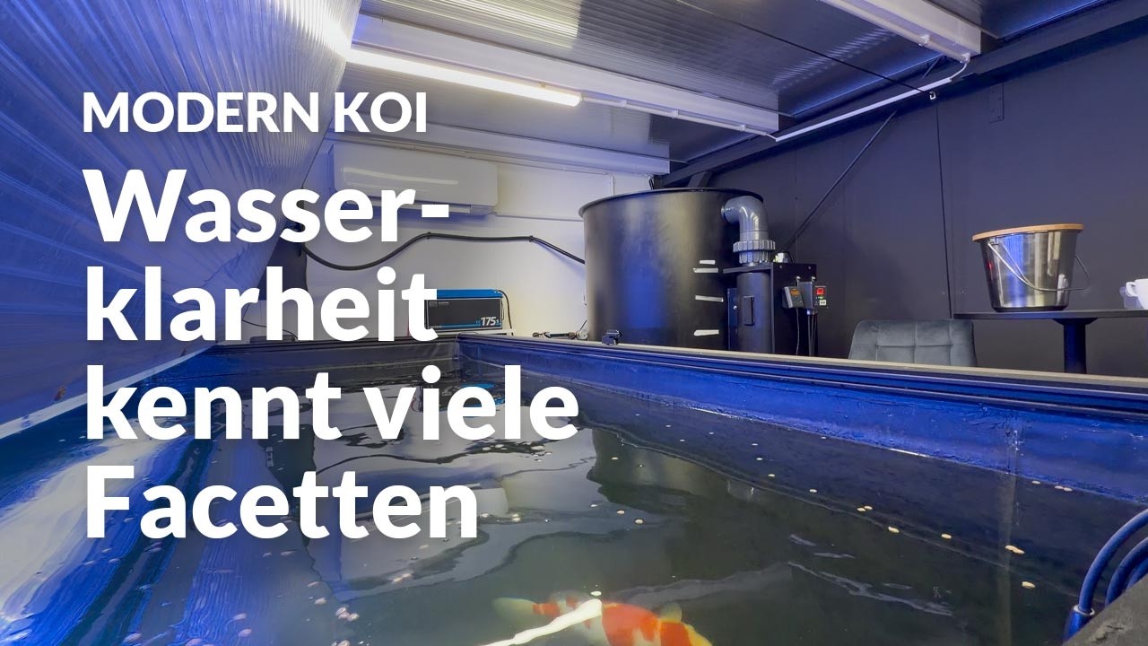 Bei Patrick: Bel&uuml;ftung verantwortlich f&uuml;r Wassertr&uuml;bung | Modern Koi Blog #7971
