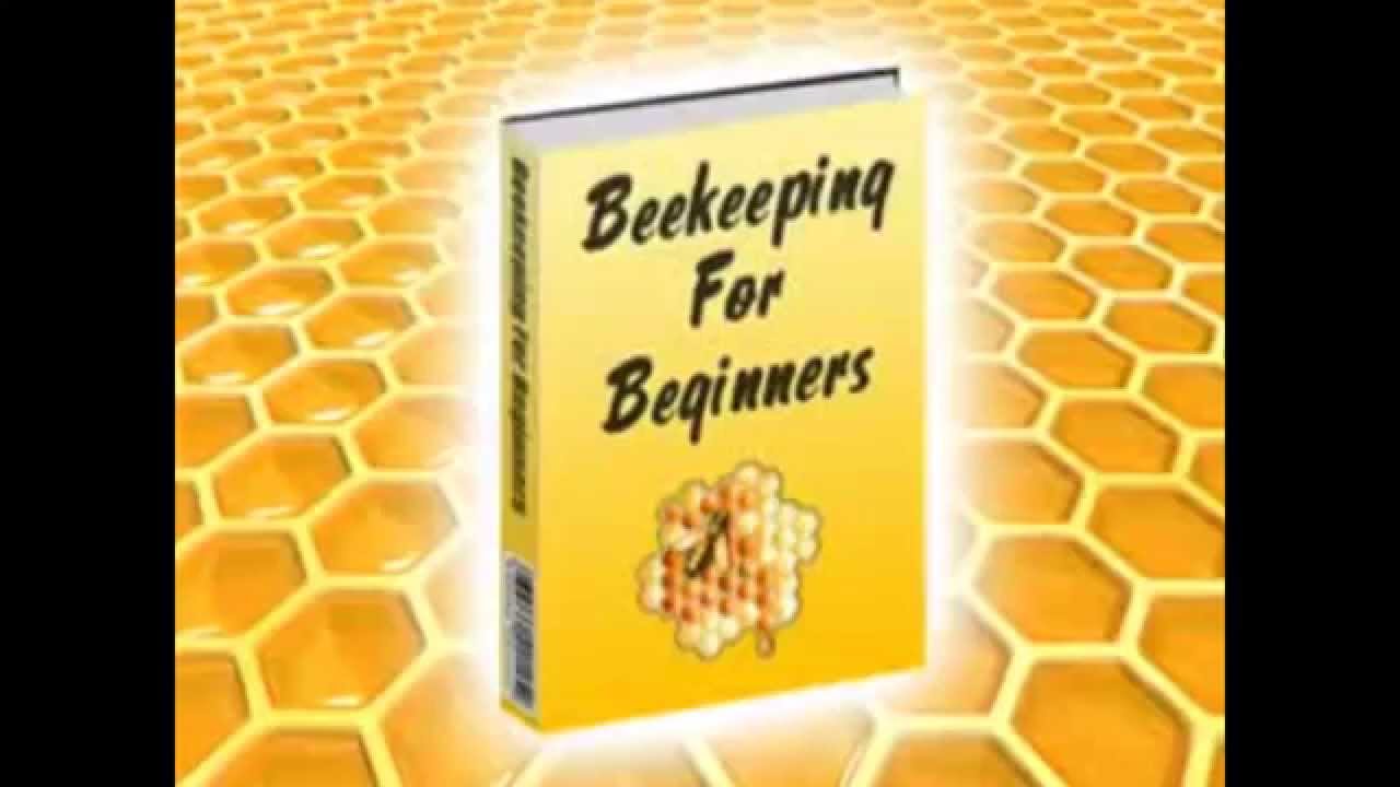 How To Start Beekeeping Quickly And Easily - Step by Step on How To Keep Bees