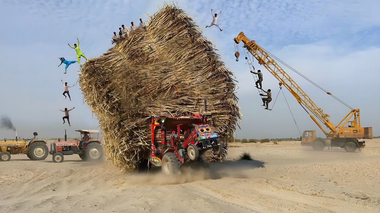 massey ferguson 385 tractor unbelievable power stunts | tractor pulling sugarcane trolley 
