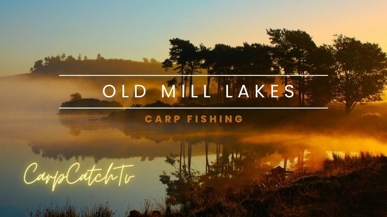 Old Mill lakes - Oak lake  (Carp Fishing)
