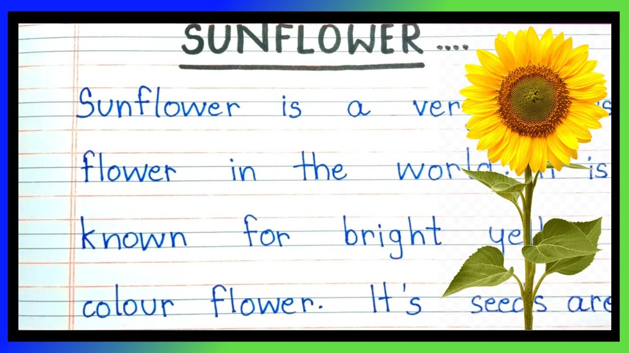 Sunflower Essay In English | paragraph on sunflower | Short Essay on Sunflower