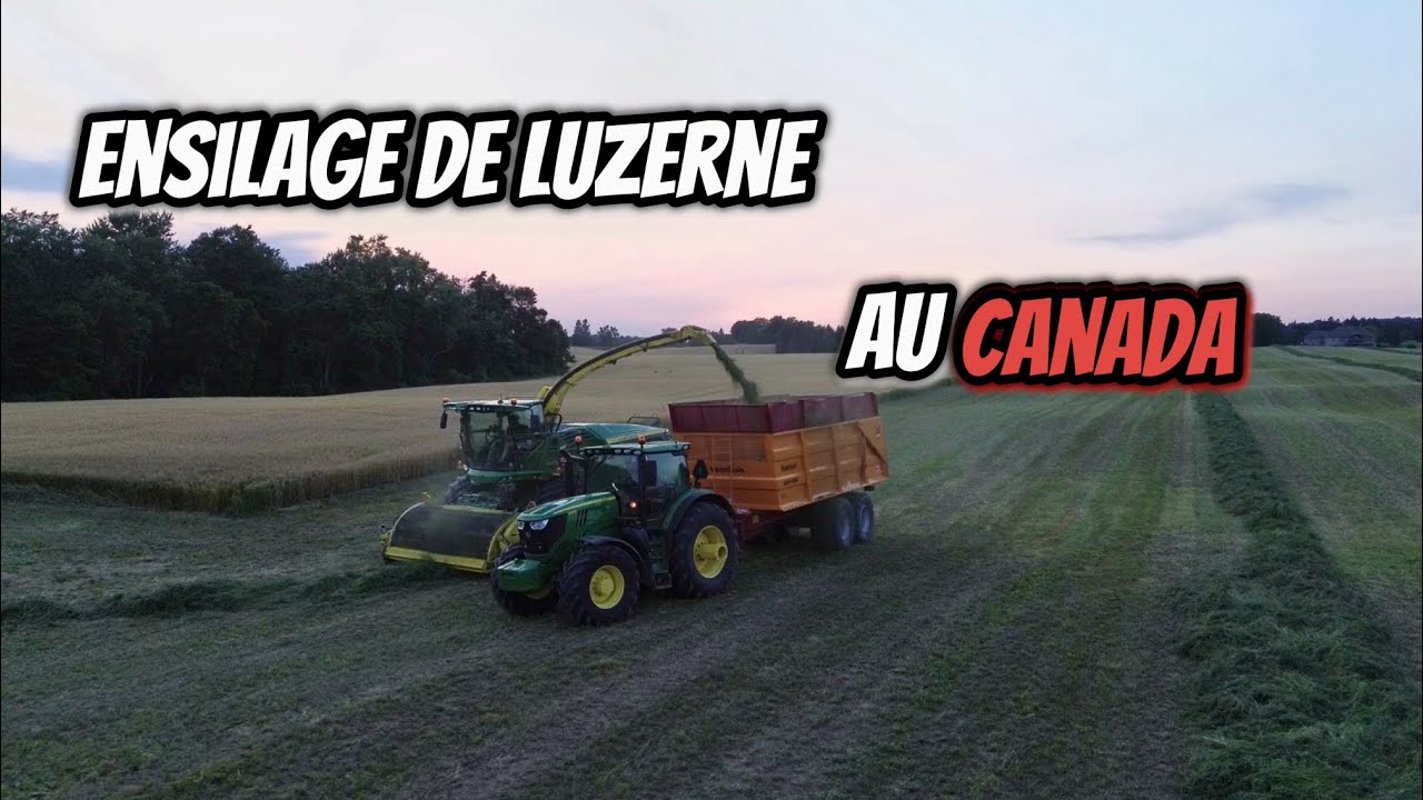 🇨🇦 Fauche, andainage, ensilage de luzerne et épandage de lisier au Canada