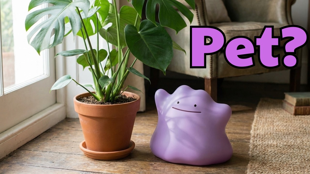 I Simulated Pok&eacute;mon Ditto In Real Life