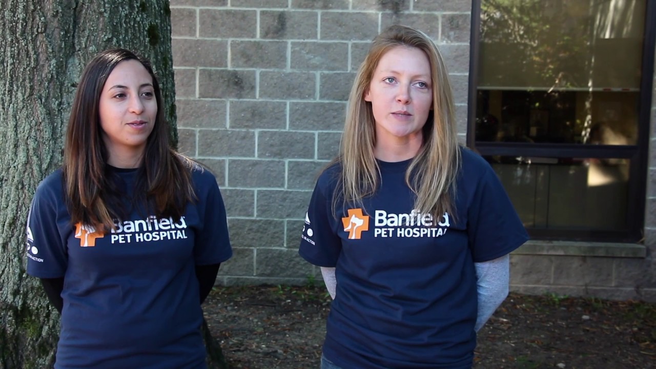 What Volunteering Means to South Jersey