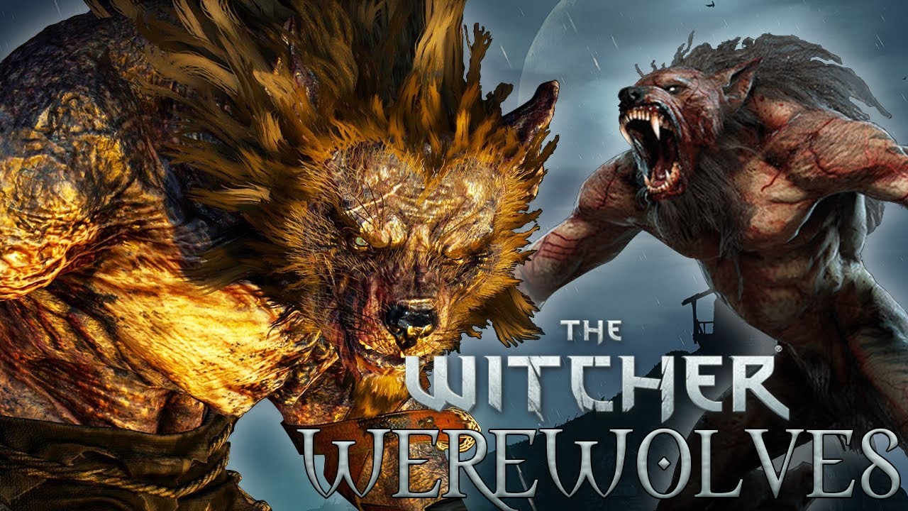 Witcher Monsters: Werewolves - Witcher Lore - Witcher Mythology - Witcher 3 lore - Witcher Werewolf