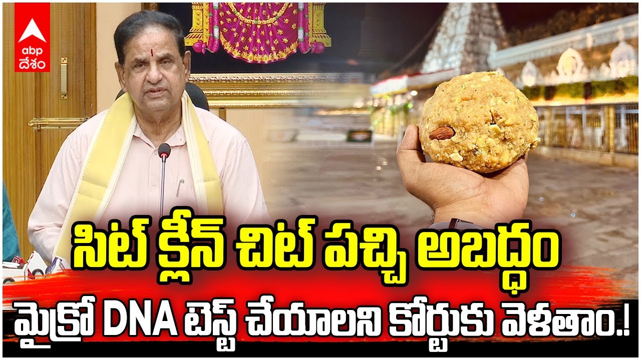 TTD Chairman BR Naidu on Ghee Case | 60లక్షల కిలోల కల్తీ నెయ్యితో తిరుమల లడ్డూలు చేశారు | ABP Desam