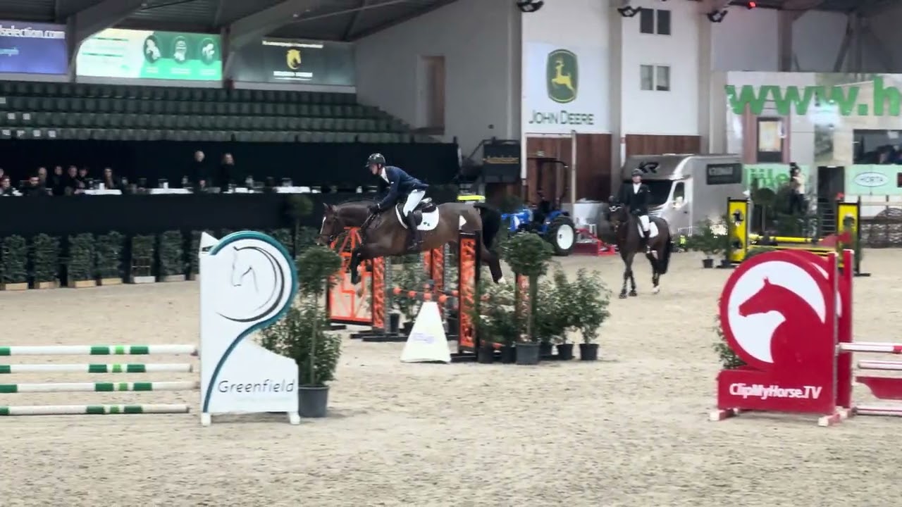 Vino for Fun 4yr stallion competition 2025 Lier