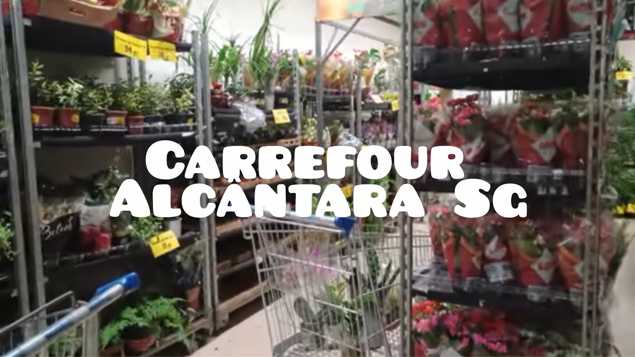 Muitas promoções no Carrefour de Alcântara 