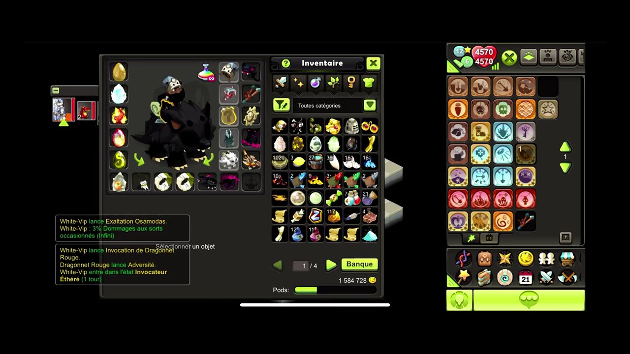 Dofus enu feu 1v1