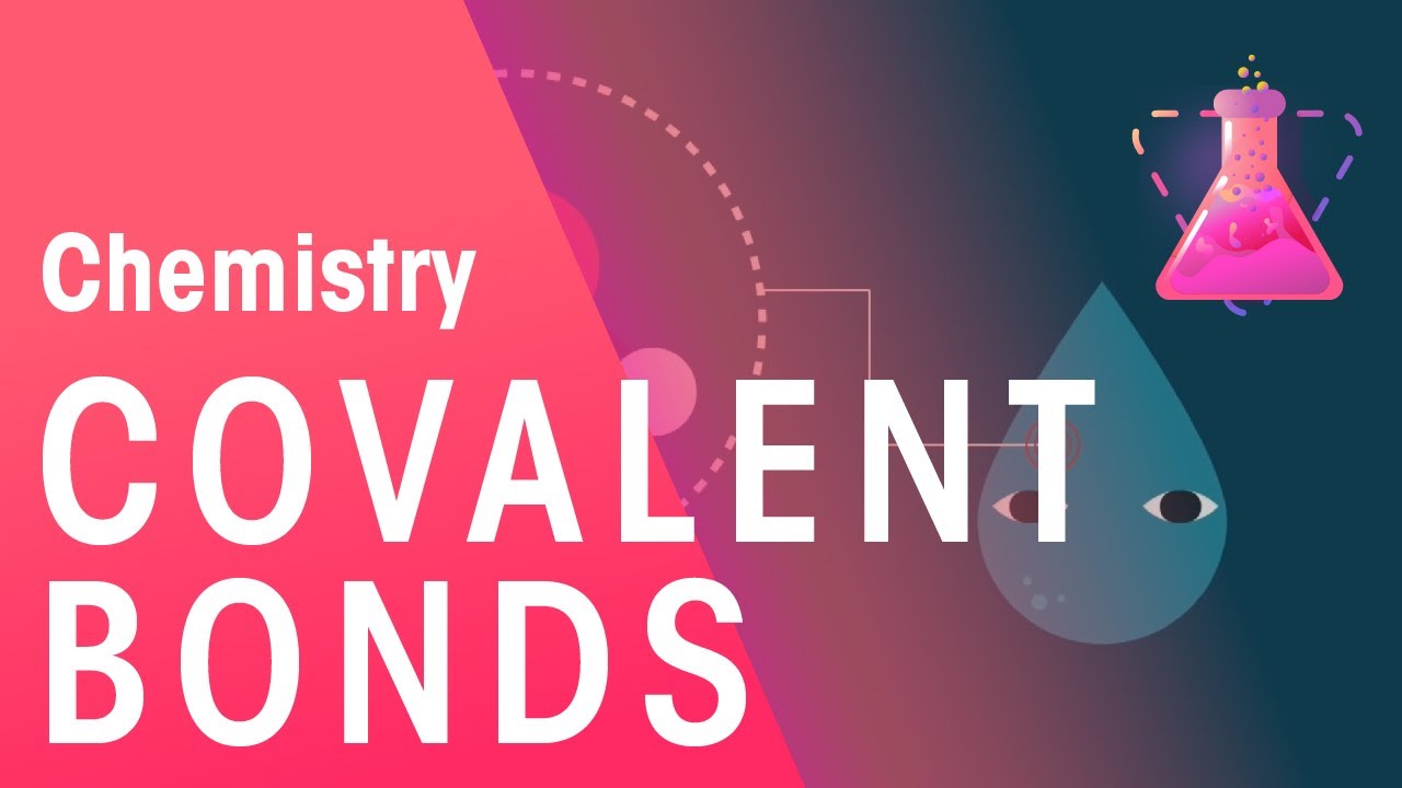 How Does Water Bond - Covalent Bonds | Properties of Matter | Chemistry | FuseSchool
