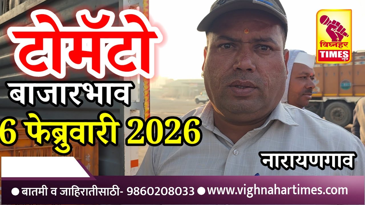 नारायणगाव टोमॅटो मार्केट l दिनांक सहा फेब्रुवारी 2026 रोजी टोमॅटोला पहा काय मिळाला बाजारभाव?