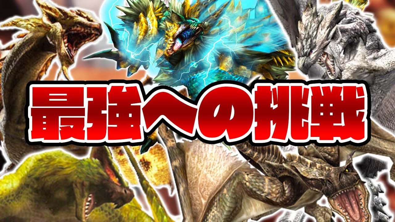 3rd最難関クエ『最強への挑戦』-PART最終回-【モンスターハンター3rd】