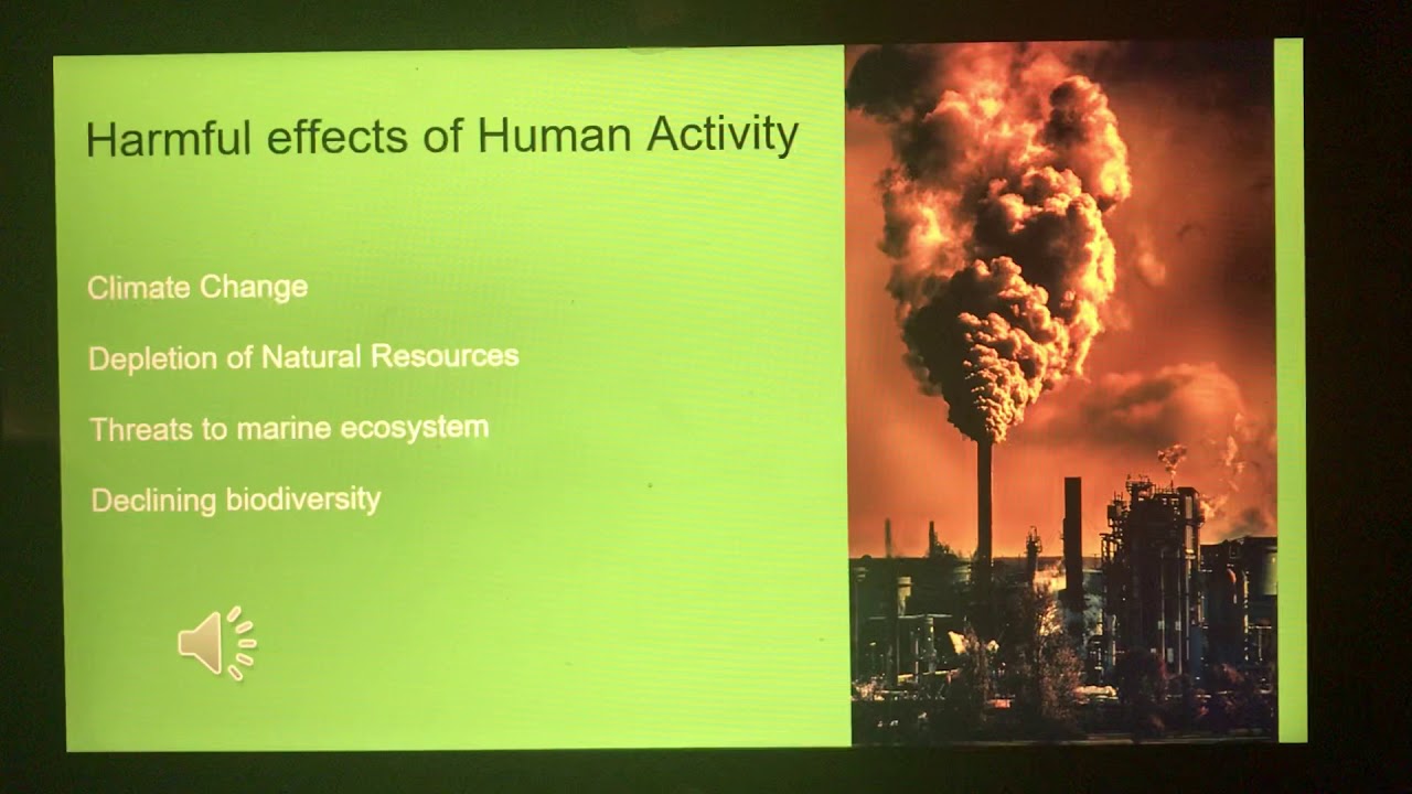 A Sustainable Environment