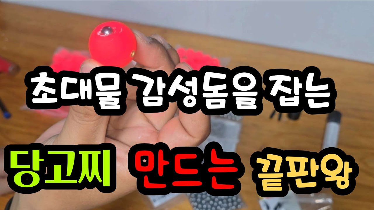 단돈 100원이면 초대물감성돔과 긴꼬리벵에돔이 퍽퍽합니다