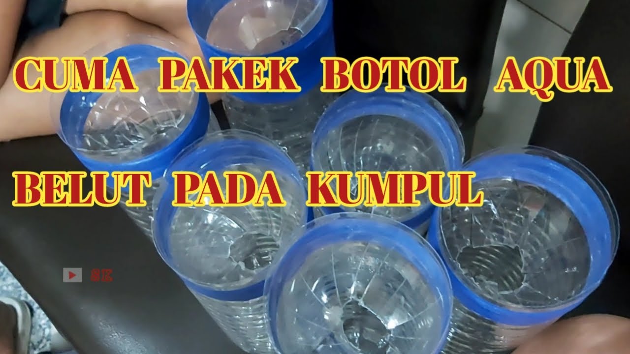 Perangkap belut dari botol air minum bekas auto panen