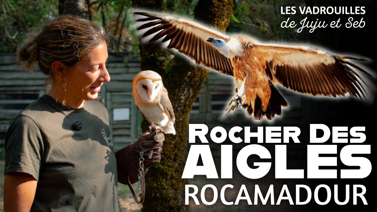Dans les coulisses du Rocher des Aigles | Interview d'une Soigneuse Animalière
