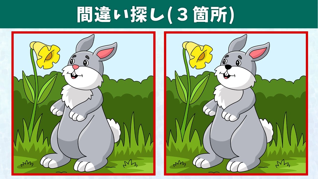 Найдите 3 отличия | Иллюстрация Версия #946