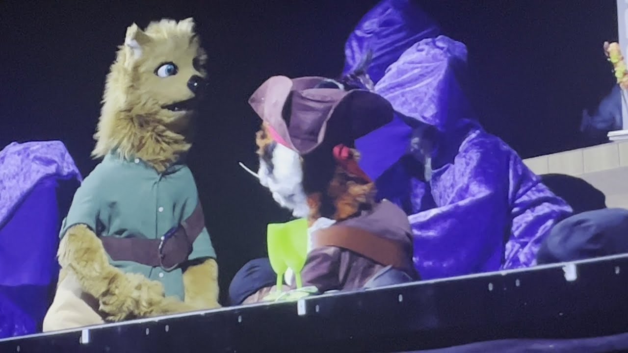 Eurofurence 29 - 2025 - VLOG 5 - Samstag - Closeing PawPetShow Dance
