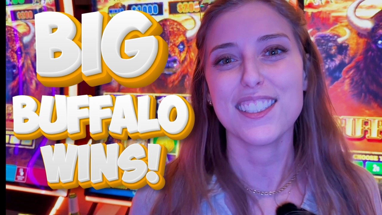 BIG WINS on Buffalo Link