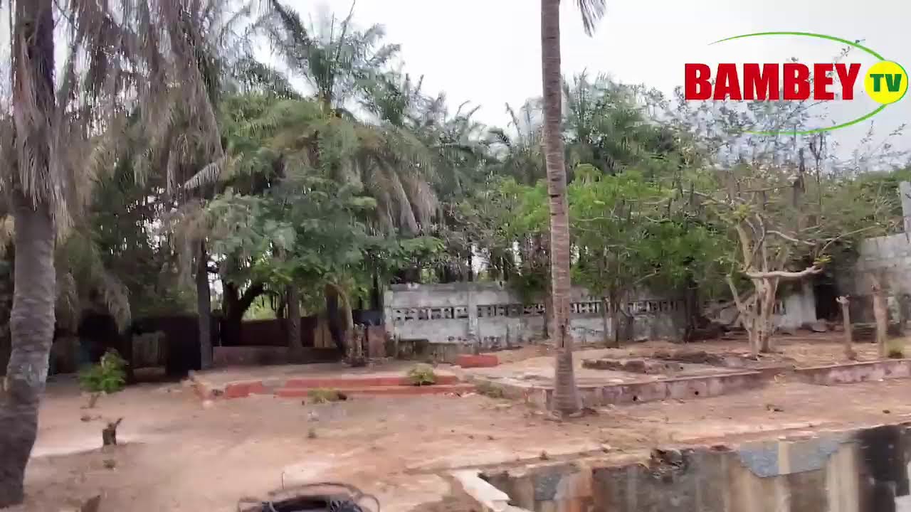 🔴 Живой пляж Кабрусс: подготовка к Undo Mayo 2025 @ Commune de Diembéring