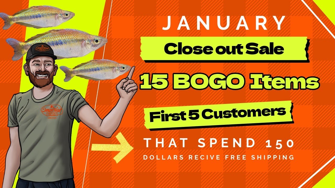 One Day Only Sale. Free shipping on $150 order, BOGO Items
