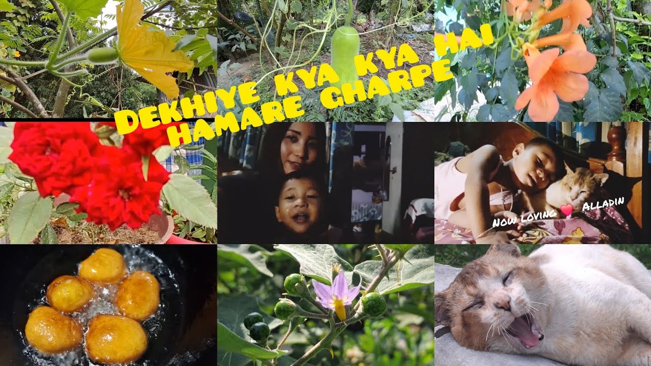 Agartala toTeliamura journey/Hamare gharpe kya kya hai🥰?Flower/Kitchen Garden/palm cake Tripura vlog