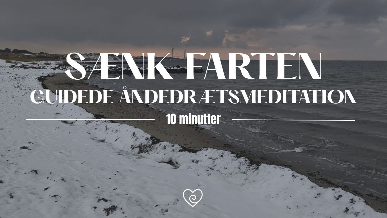 SÆNK FARTEN | 10 minutters guidede åndedrætsmeditation