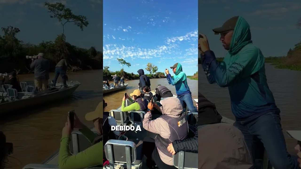 Pantanal Jaguar Safaris 2026