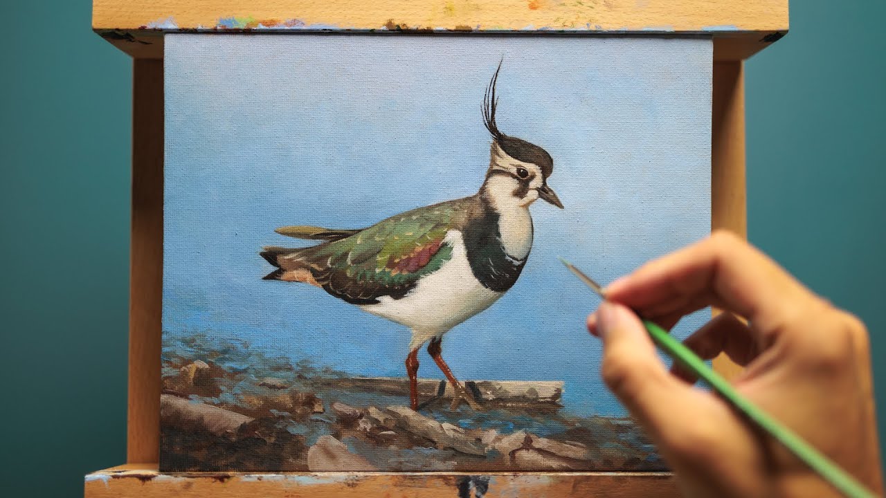 Northern Lapwing - Relaxing Bird Oil Painting Start to Finish