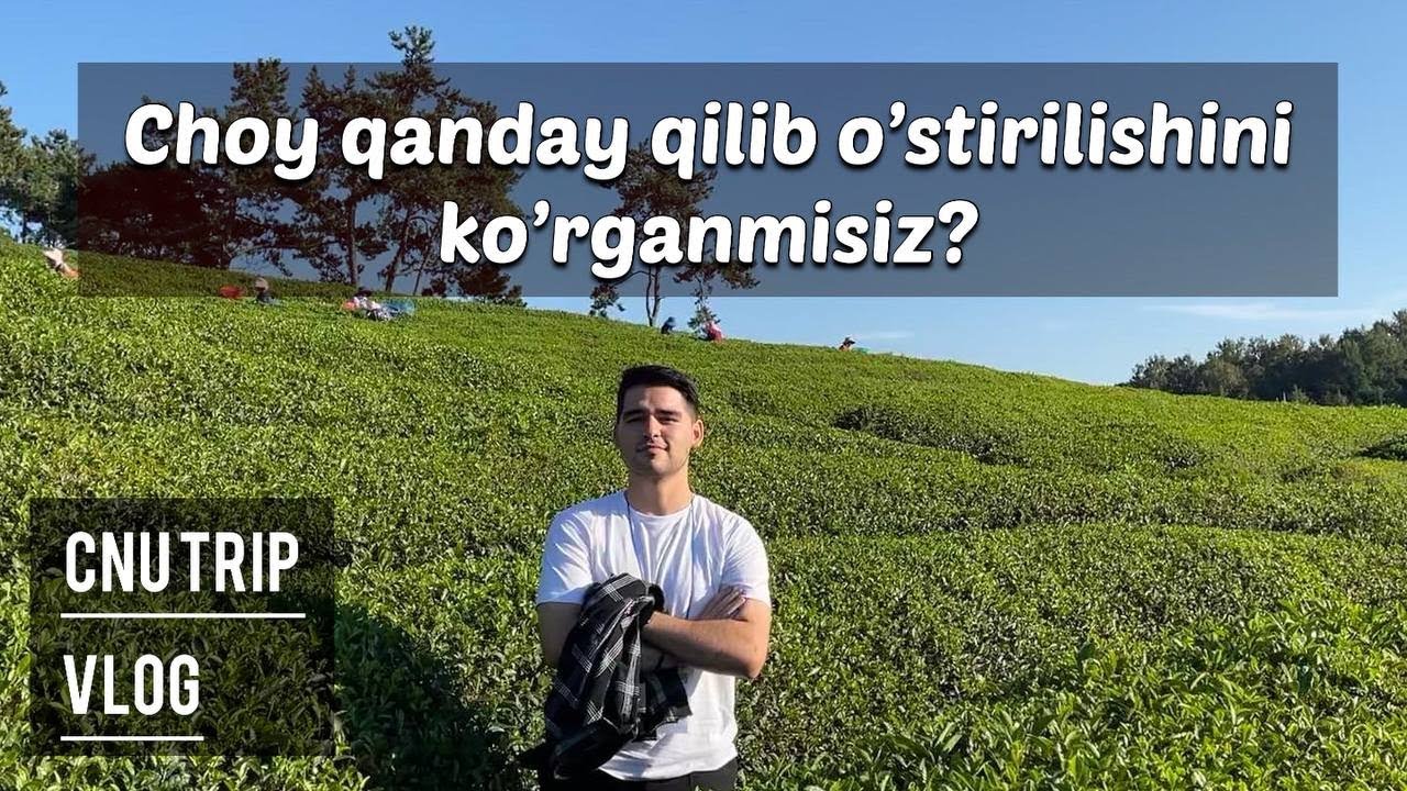 Bu yerga ilk bor kelishim (Boseong green tea fields)