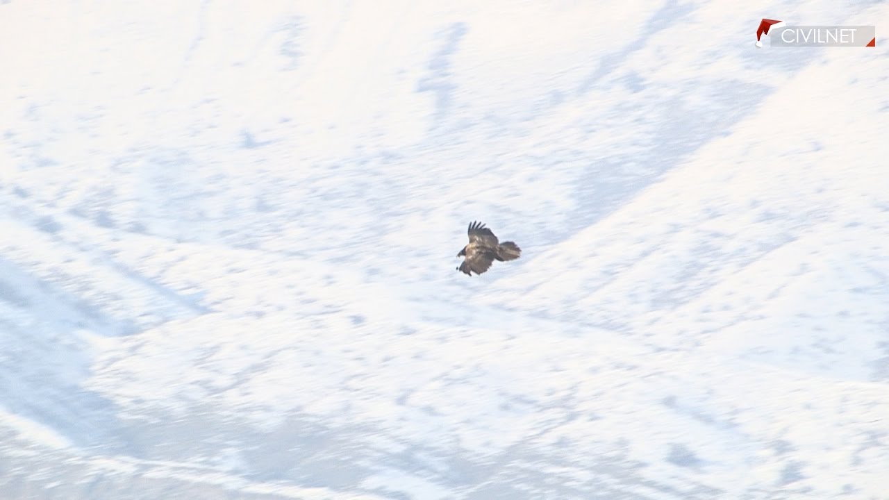 Ուրցաձոր․ բնության հետ խոսող կենտրոնը