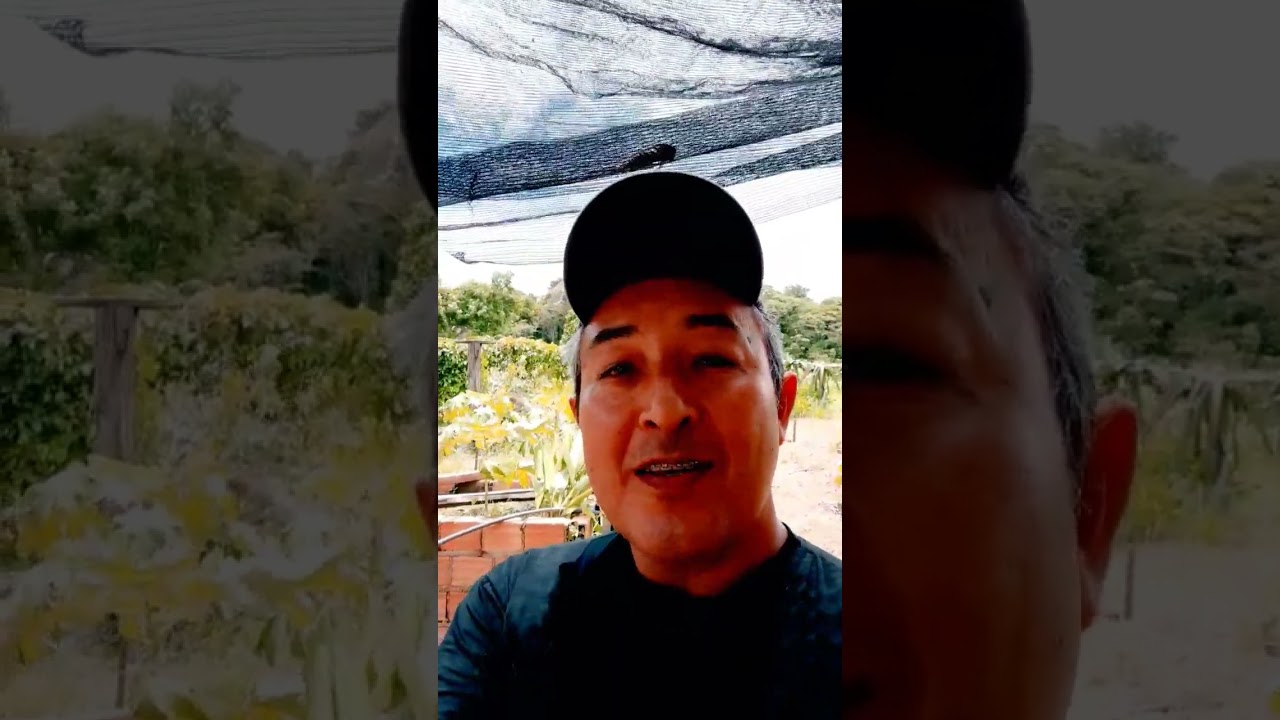 MELHOR ADUBO PARA CRESCIMENTO DA PITAYA