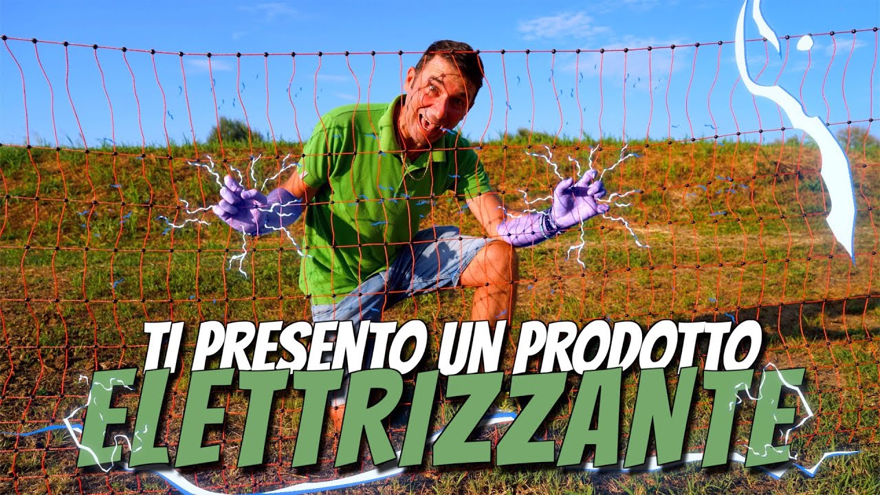 RECINTO ELETTRIFICATO: rete elettrificata e elettrificatore