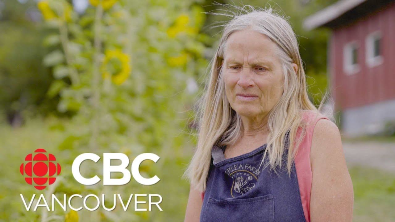 Groundwater use causing tensions in Cowichan Valley