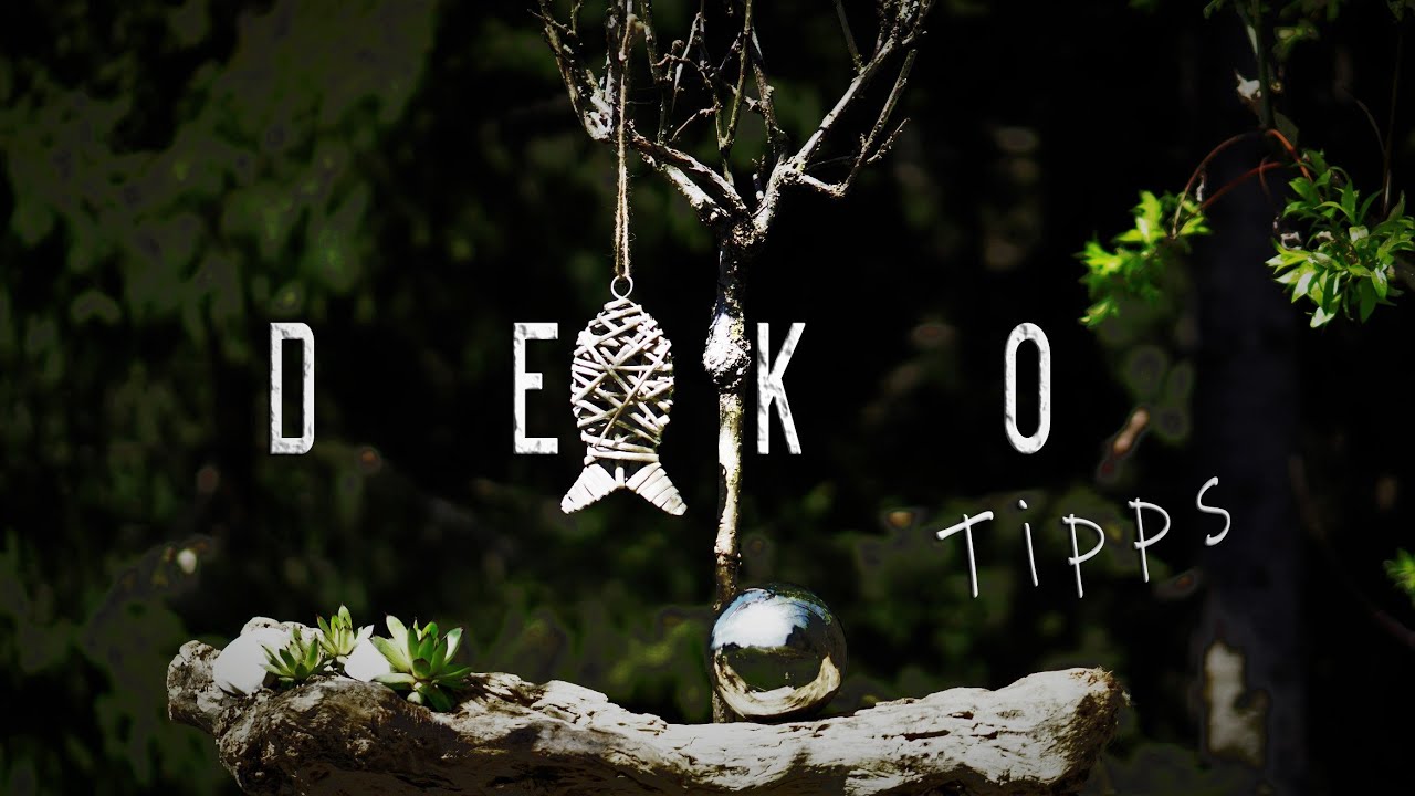 SUKKULENTEN  🌄  DIY Natur DEKO Tipps für hohe Vasen