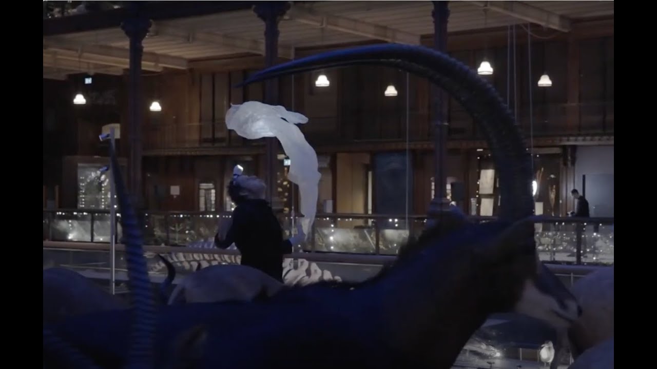 Projet fantôme au Muséum d'histoire naturelle de Paris