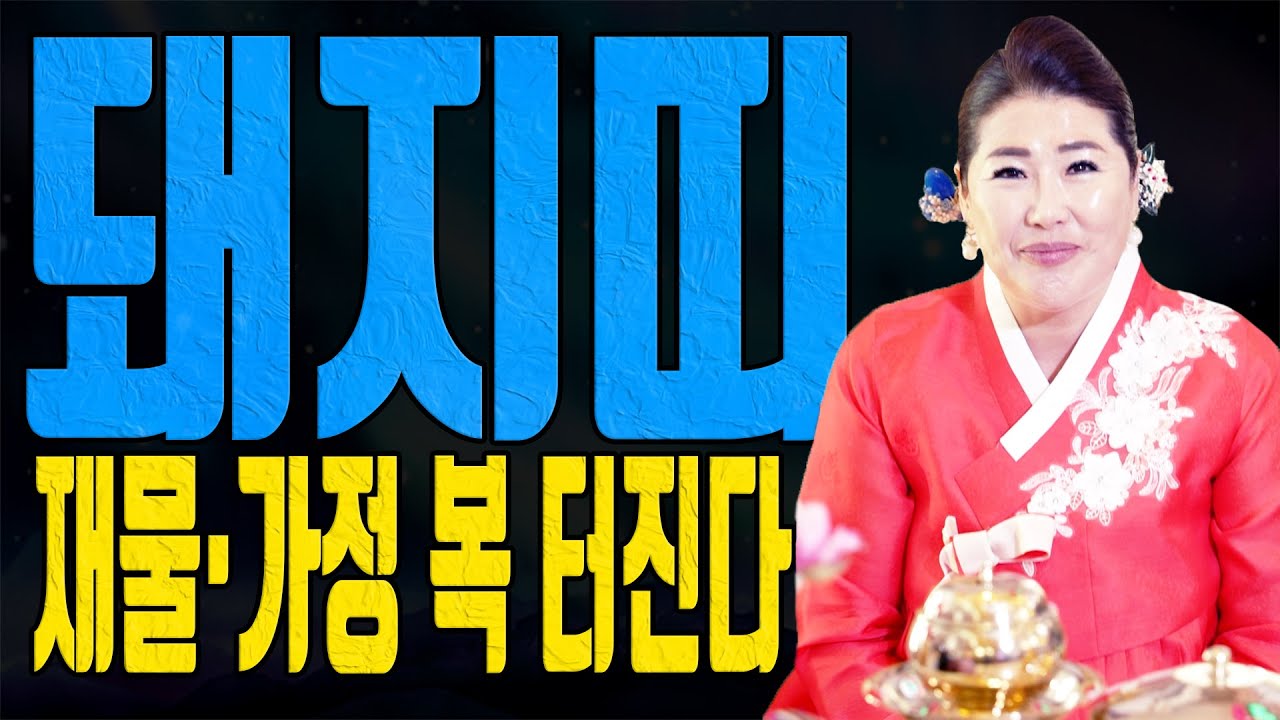 돼지띠 2025년 하반기 운세 삼재 속에서 대박과 쪽박이 갈린다 대전점집 용한무당 점집추천 점집후기 관음사