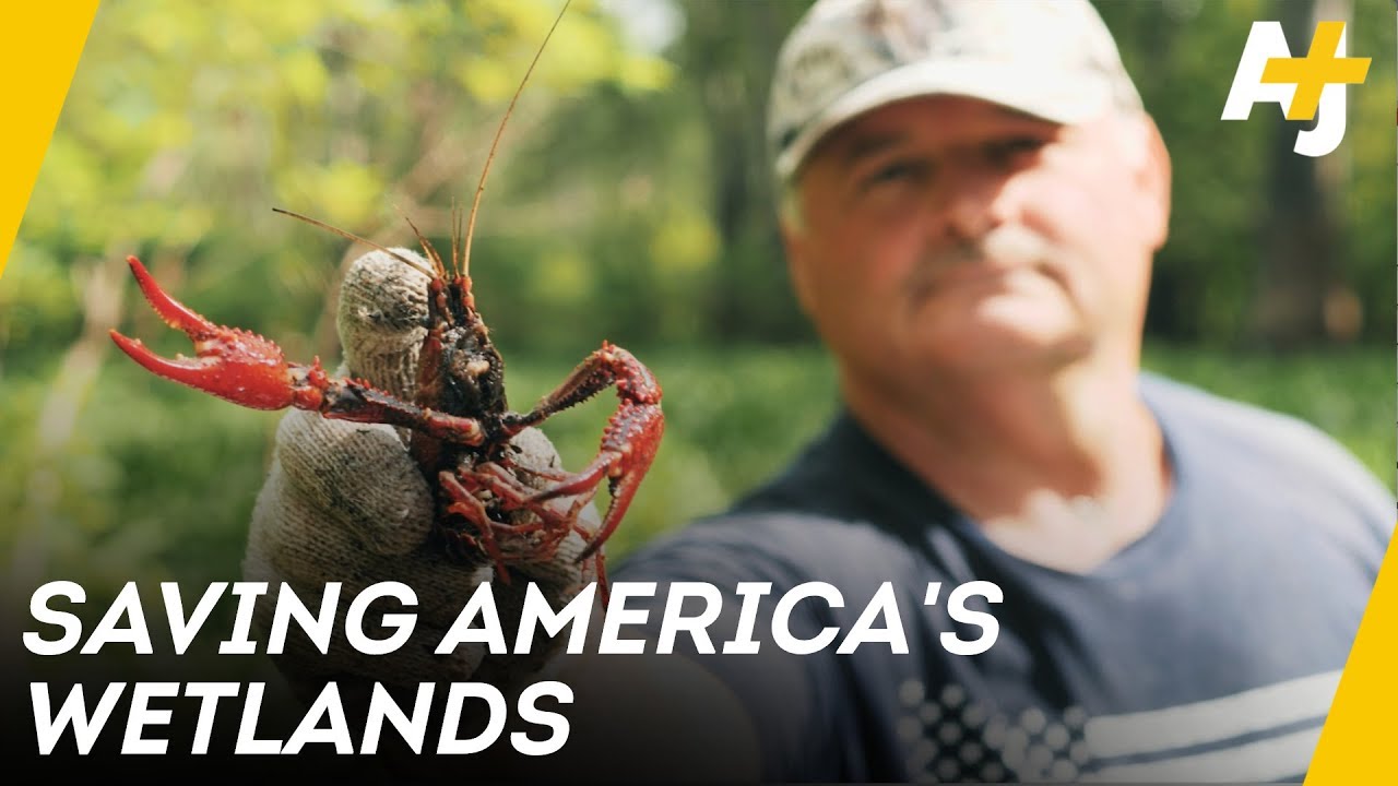 How Oil Companies Are Destroying America’s Wetlands | AJ+