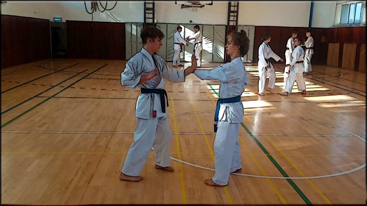 RENZOKU KUMITE GEKISAI DAI NI