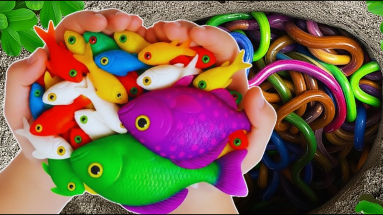 Unboxing ikan hias, ikan cupang, ikan mas koi, ikan guppy, ikan mas koki, ikan mas, ikan lele albino