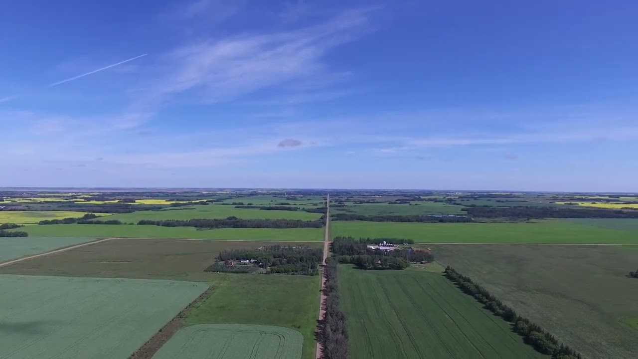 Chirping and Canola